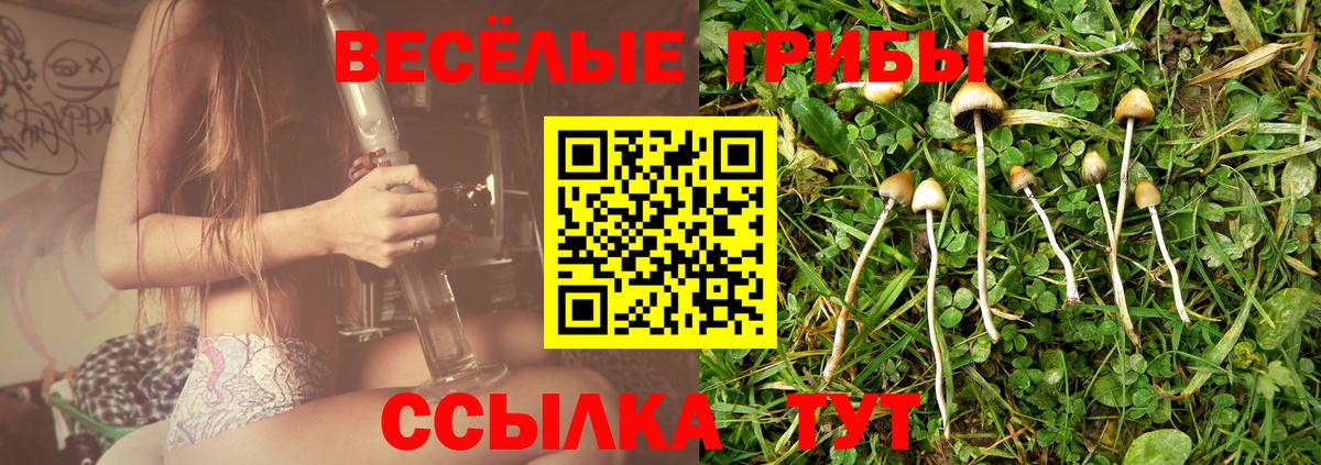 Галлюциногенные грибы Cubensis Новочеркасск