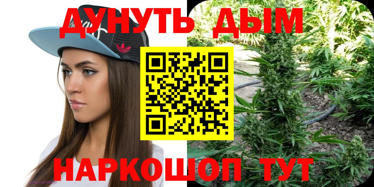 Шишки марихуана SATIVA & INDICA Новочеркасск